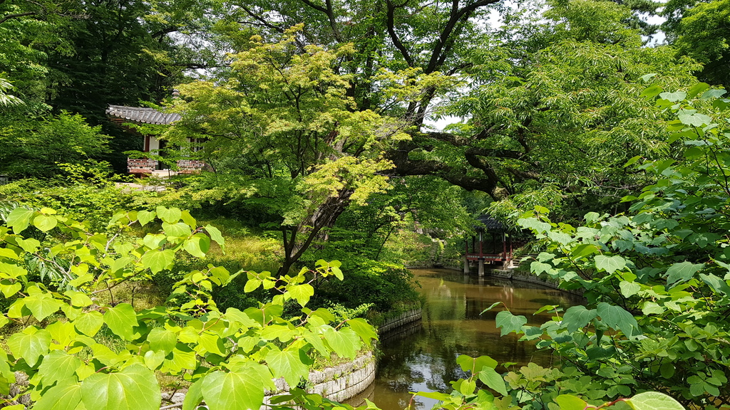 Changdeokgung palace
