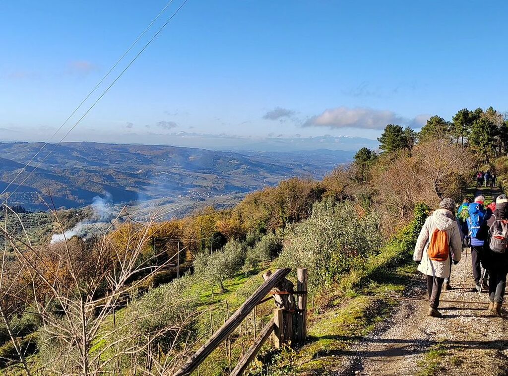 Hiking near Volpaia