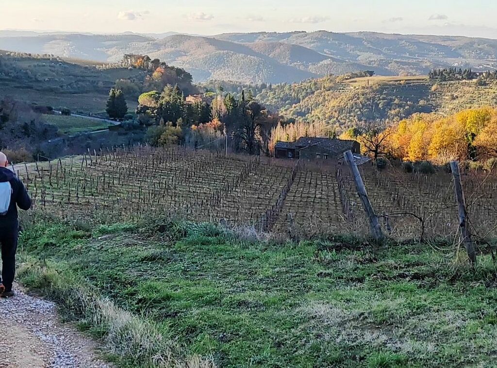 Hiking near Volpaia