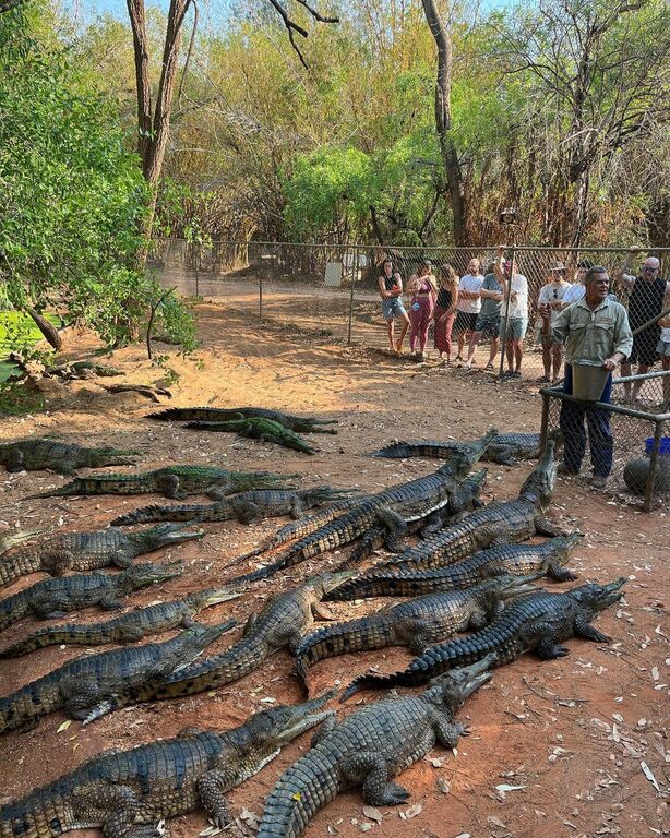 Malcolm Douglas Crocodile Park