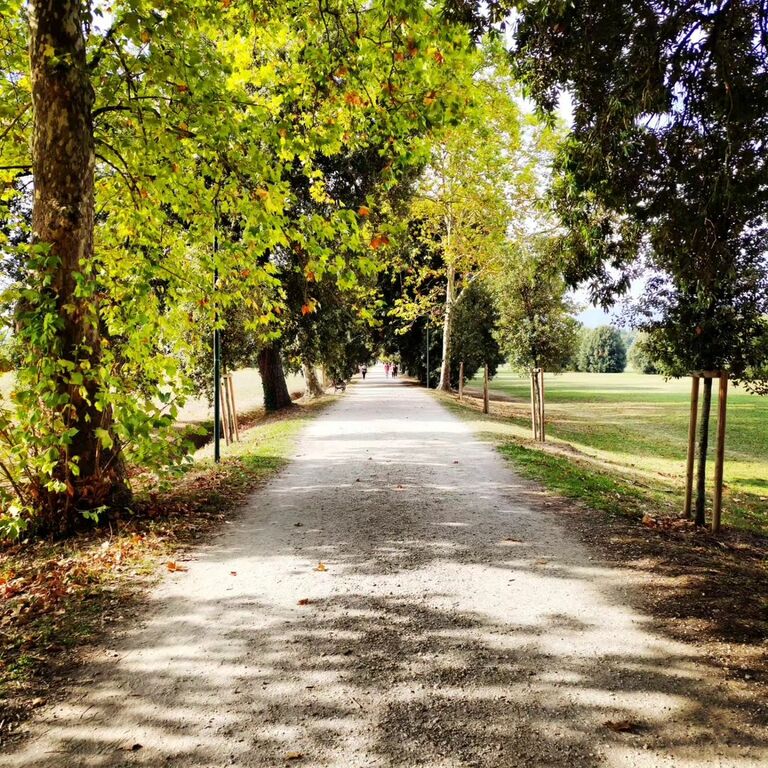 Cascine di Tavola