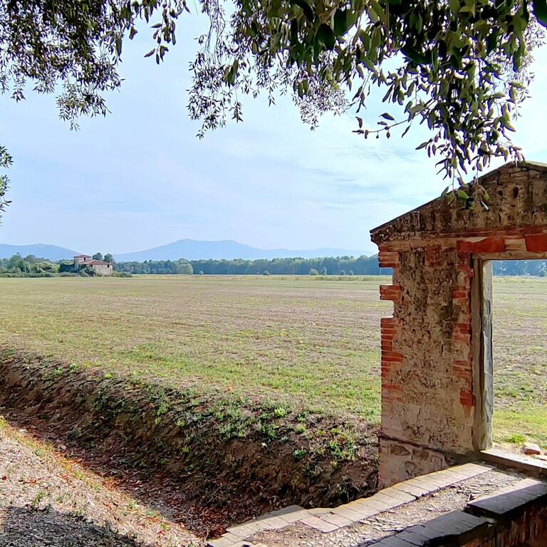 Cascine di Tavola