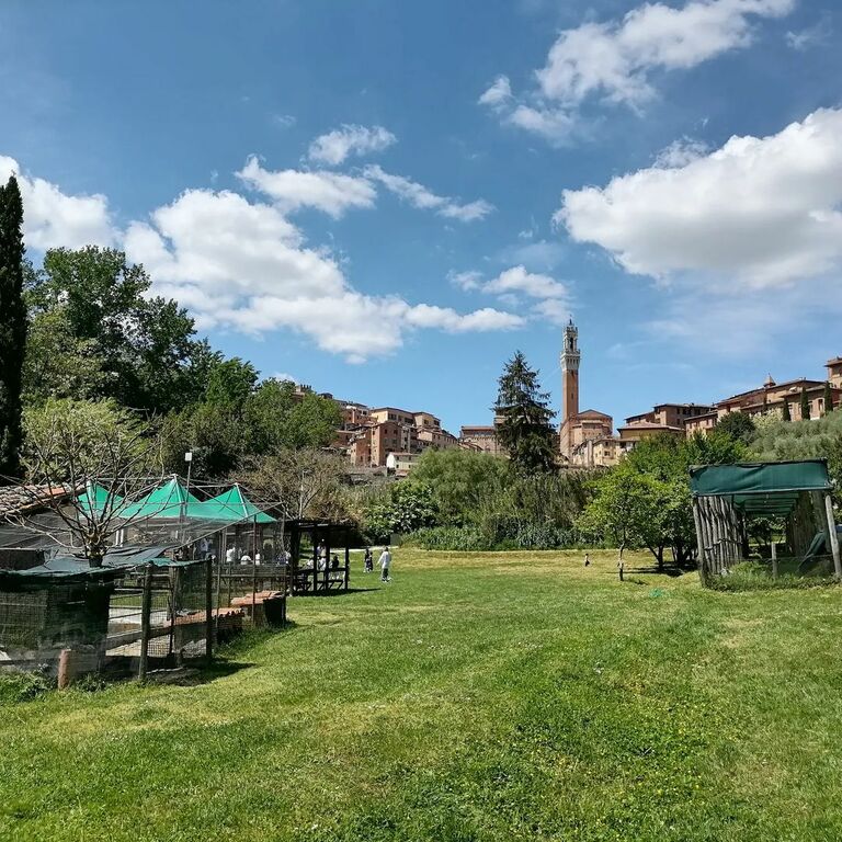 Orto de' Pecci