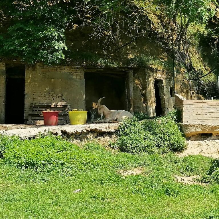 Orto de' Pecci