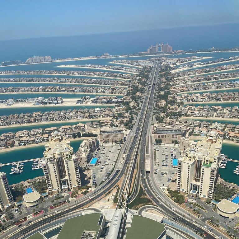 The View at the Palm