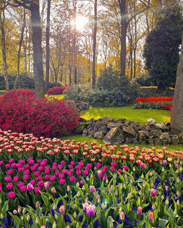 Keukenhof