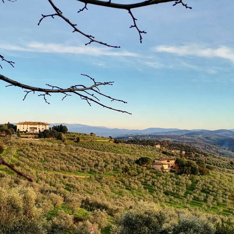 Artimino