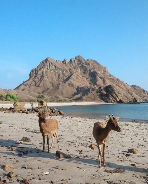 Padar Island