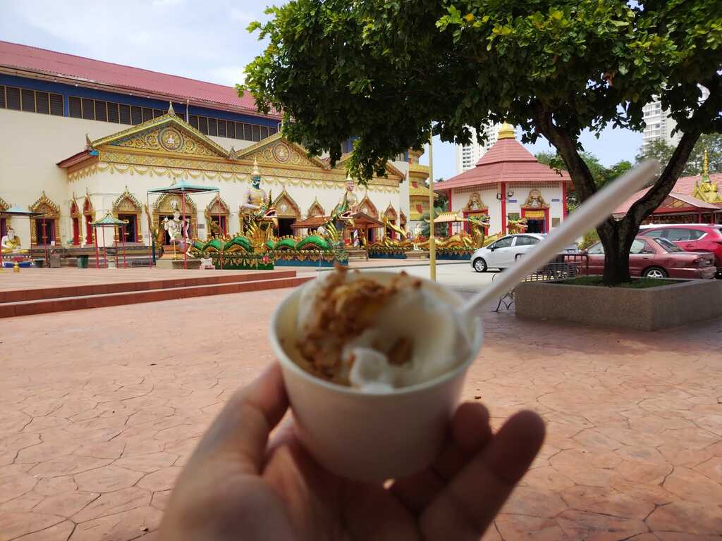 Yummy coconut ice cream