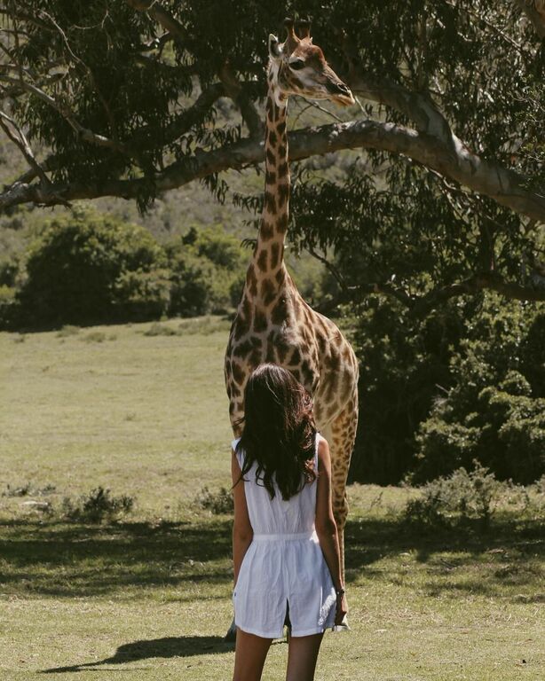 Eastern Cape