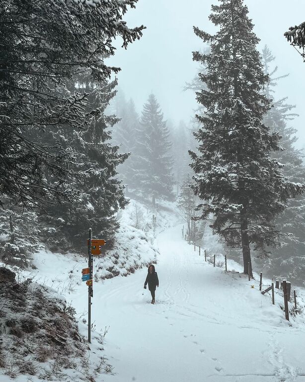 Fürstensteig trail