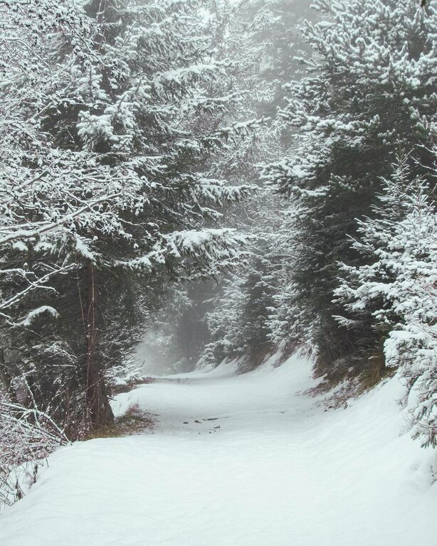 Fürstensteig trail