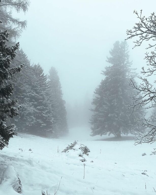 Fürstensteig trail
