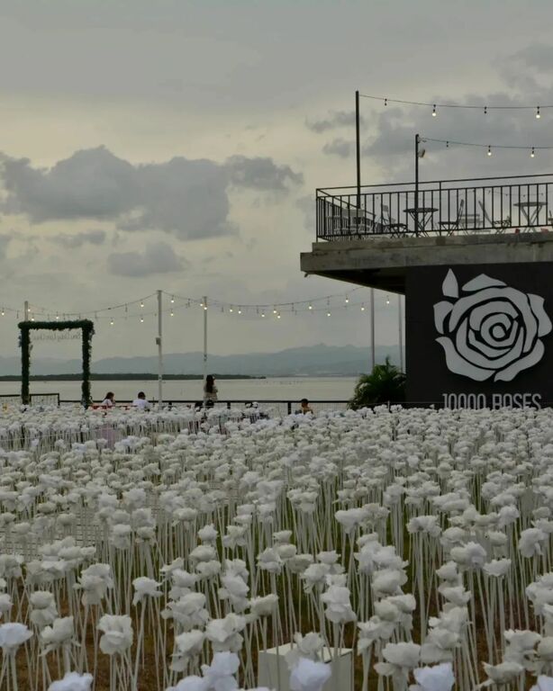 10000 Roses Cafe & More