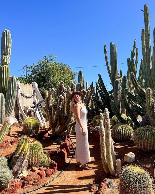 Cactus Garden Carnarvon