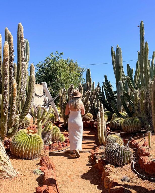 Cactus Garden Carnarvon