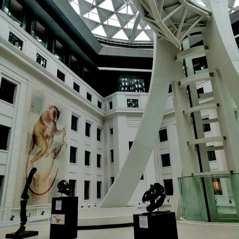 National Museum of Natural History