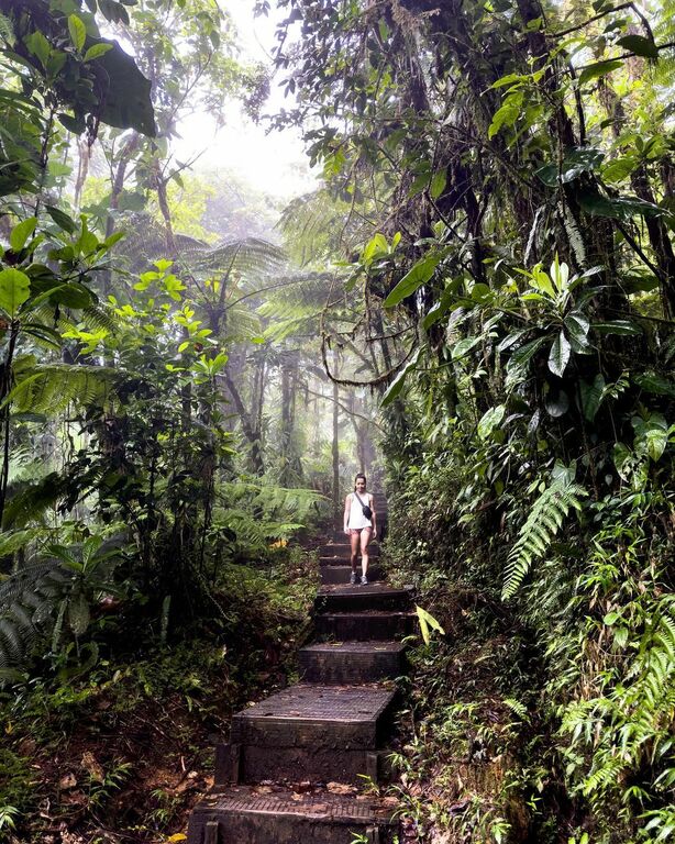 Guadeloupe National Park