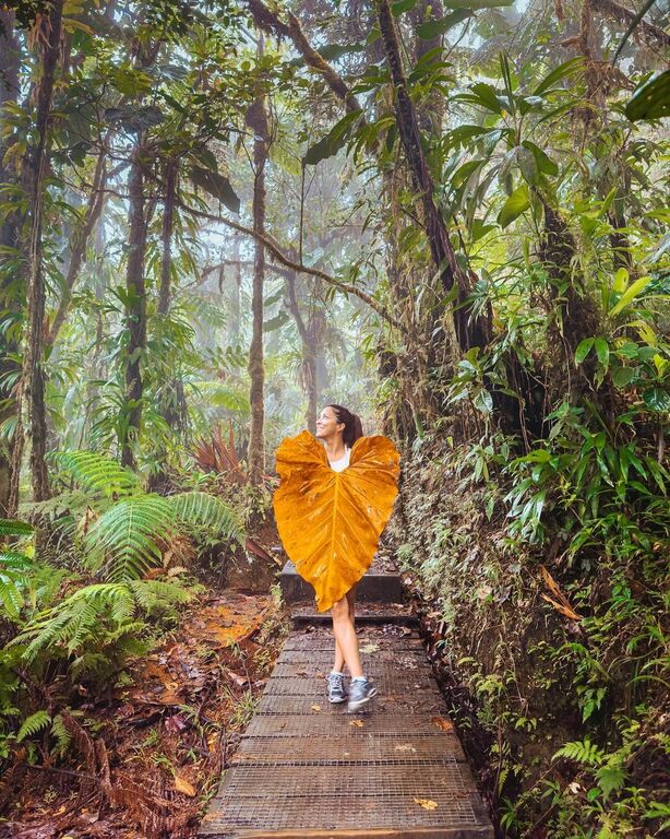 Guadeloupe National Park