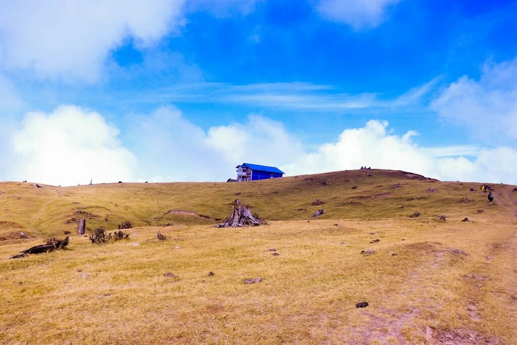 Sandakphu 