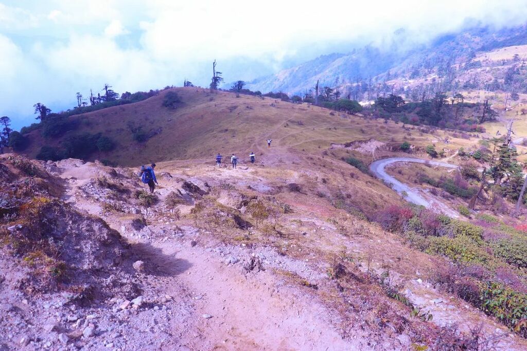 Sandakphu 