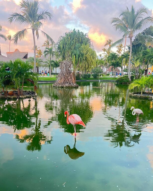 Beach in Punta Cana