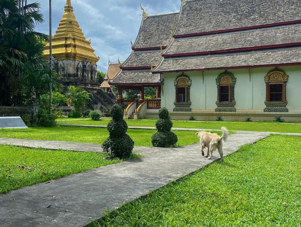 Wat Chiang Man
