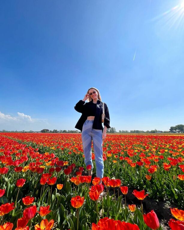 Tulip field in Lisse