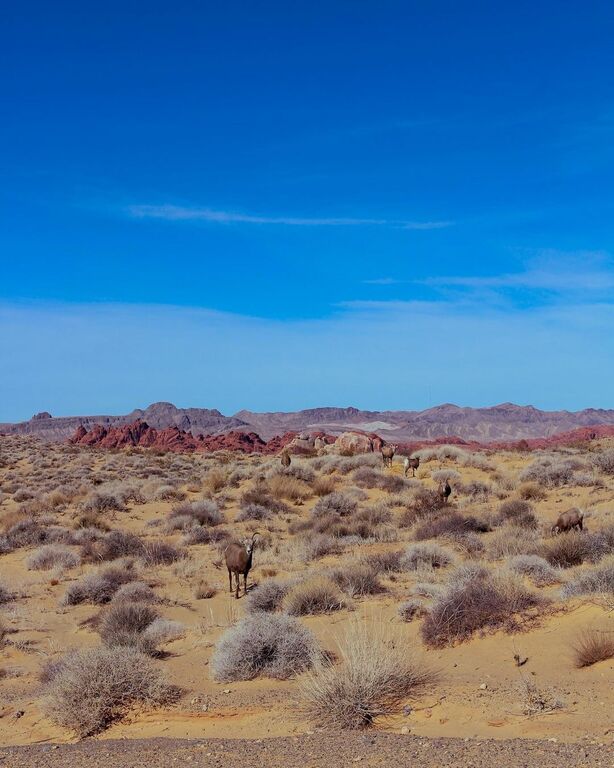 Valley of Fire State Park