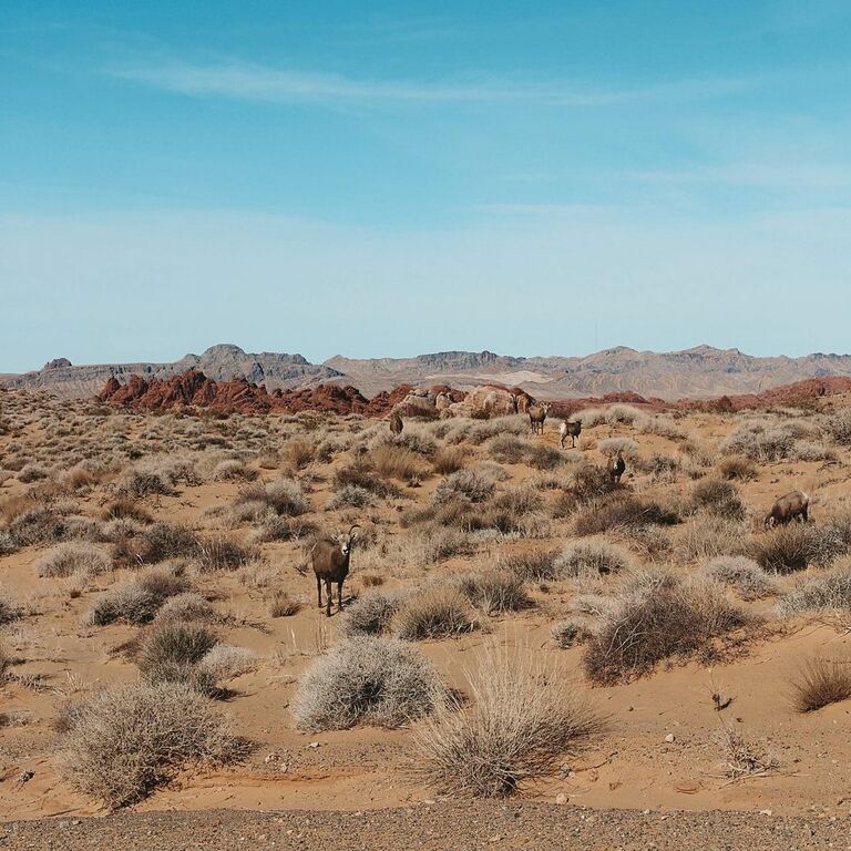 Valley of Fire State Park
