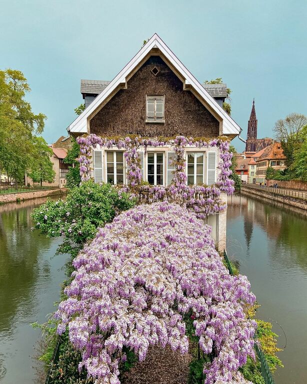 Strasbourg