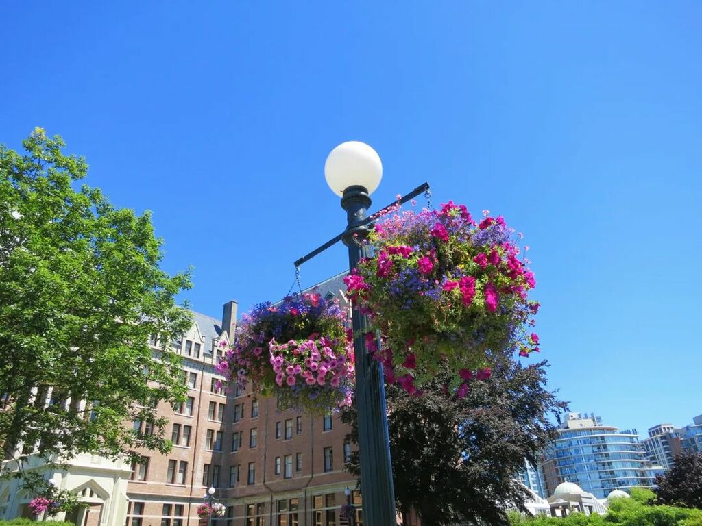 Victoria