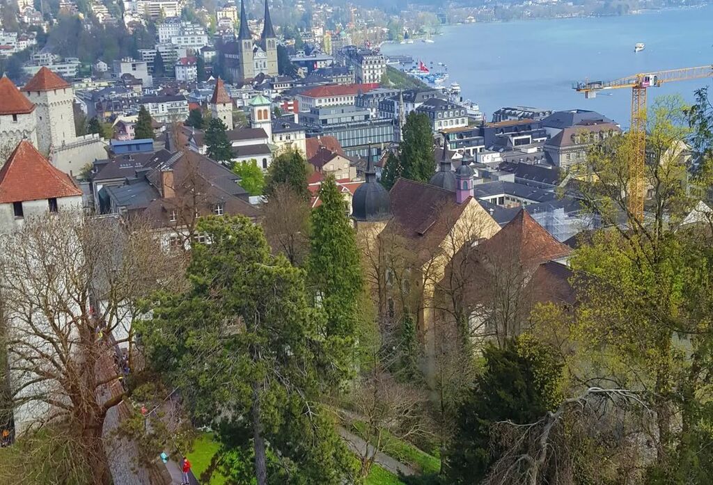 Lucerne