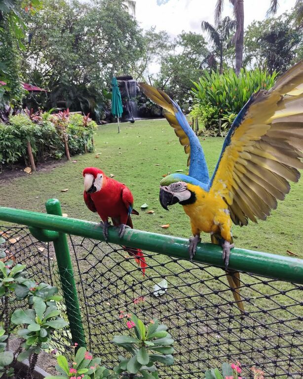 Parque del Centenario