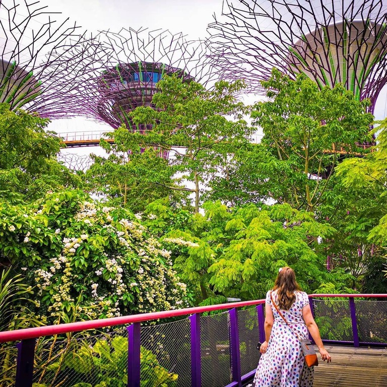 Gardens by the Bay