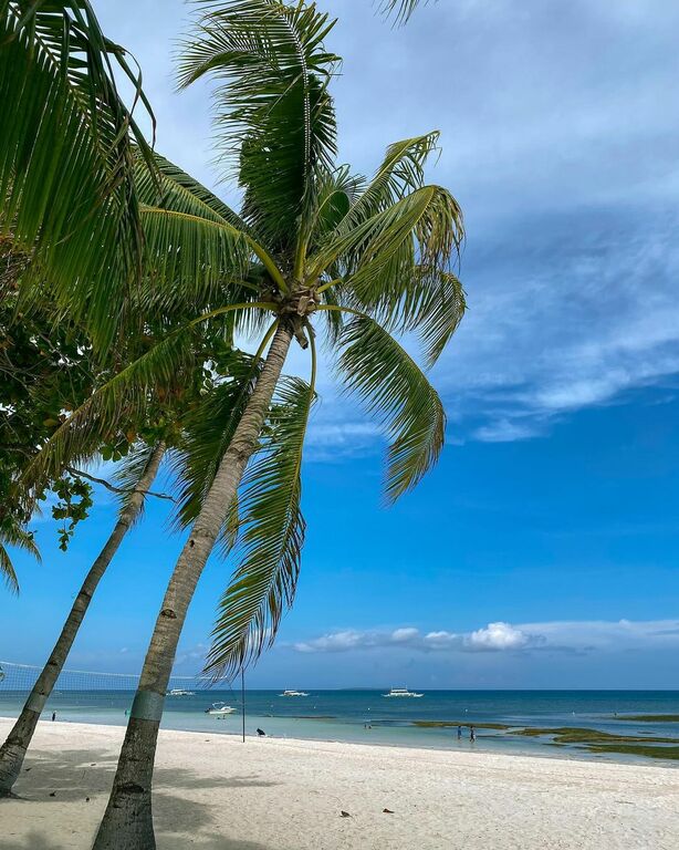 Oceanica Resort Panglao - formerly South Palms Resort Pangla