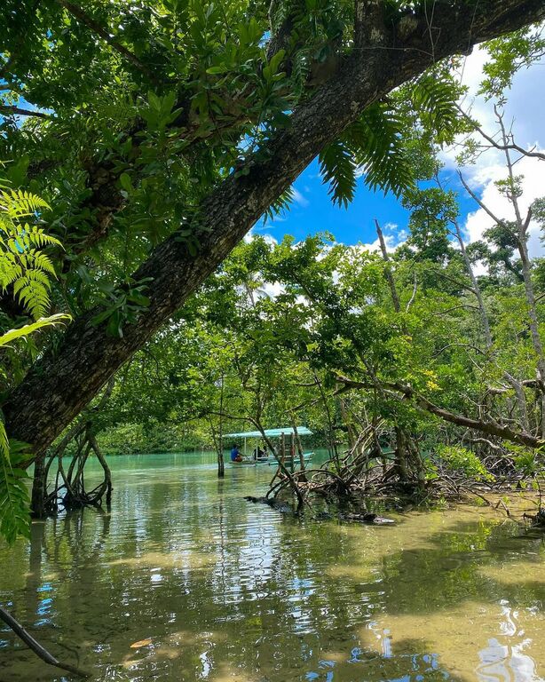 Sabang Mangrove River