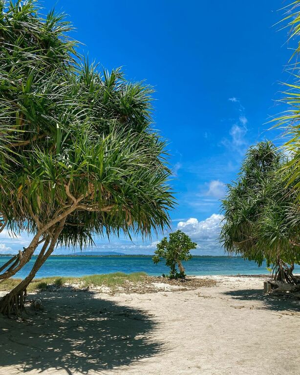Virgin Island