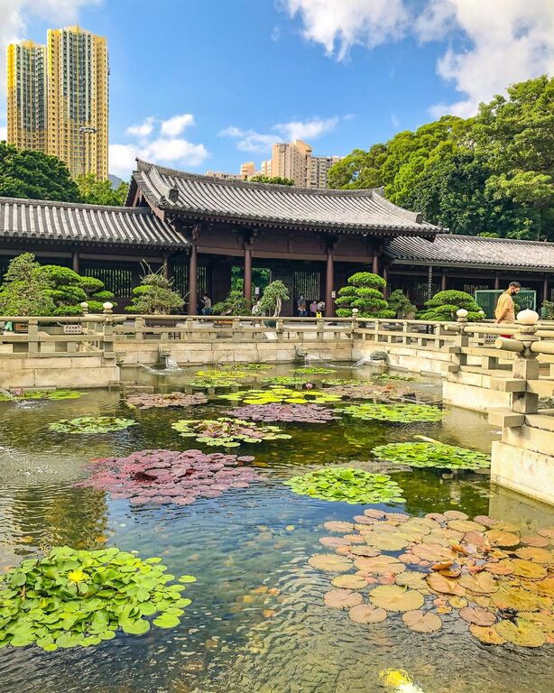 Lotus Pond Garden in Chi Lin Nunnery
