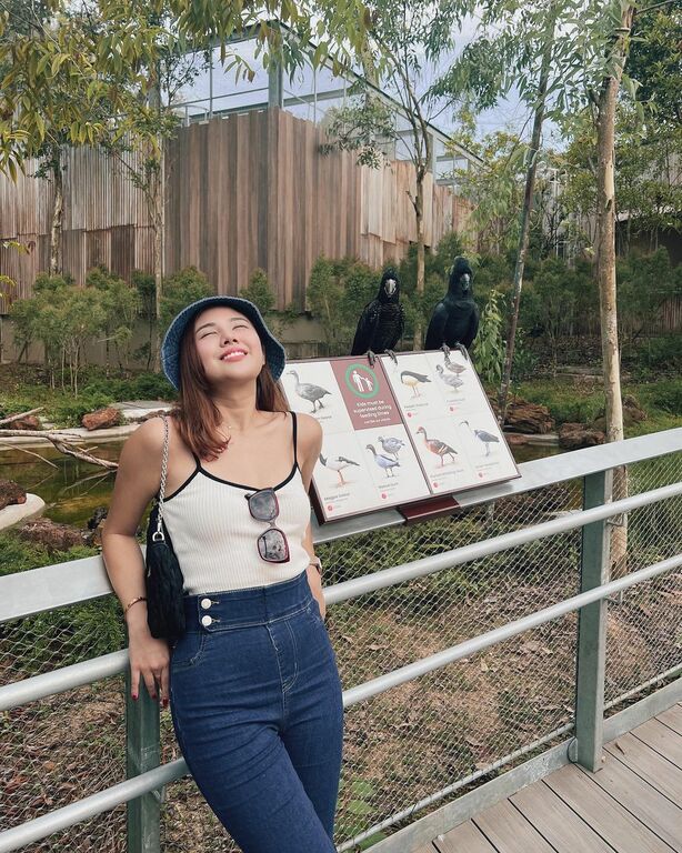 Bird Paradise