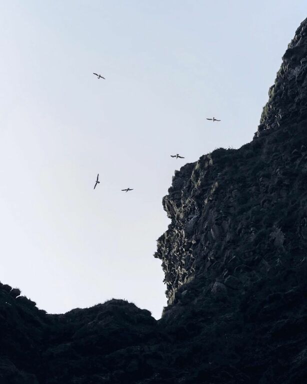 Reynisfjara Beach