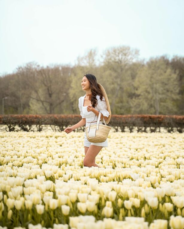 Lisse