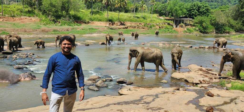 Pinnawala Elephant Orphanage