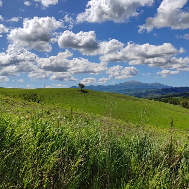 Val d' Orcia