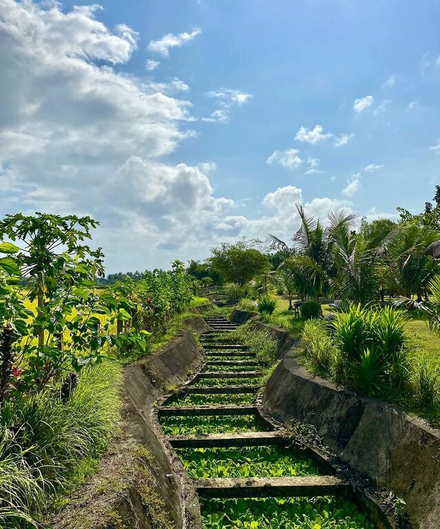  Adelaida Farm And Resort