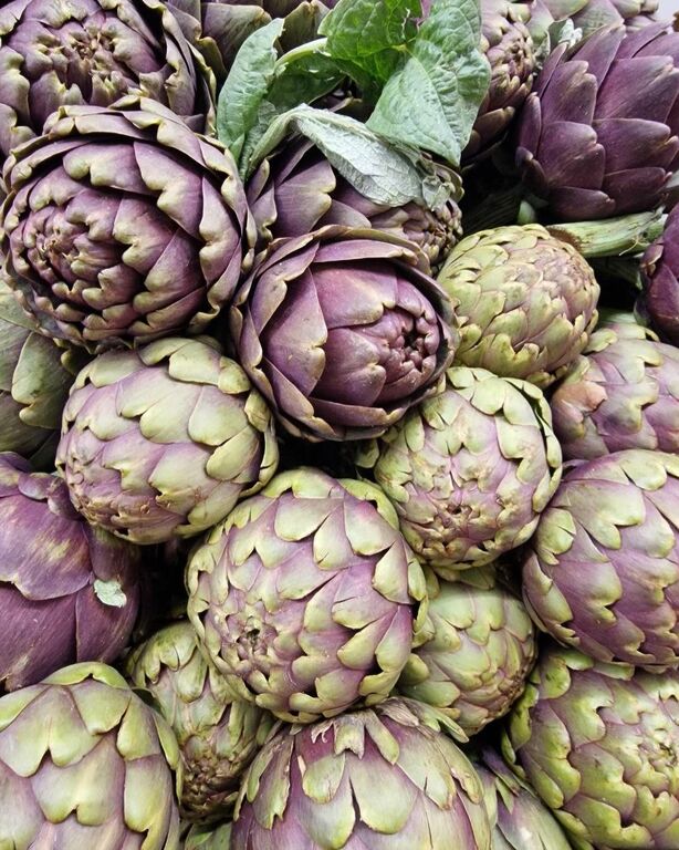 Artichoke in Rome