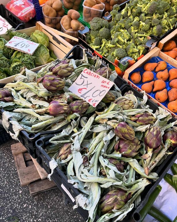 Artichoke in Rome