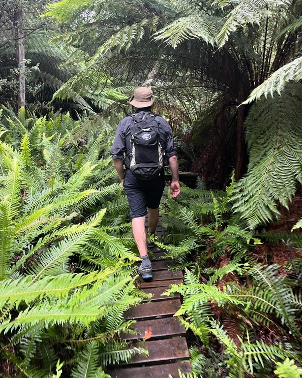 Tasmania wilderness walk