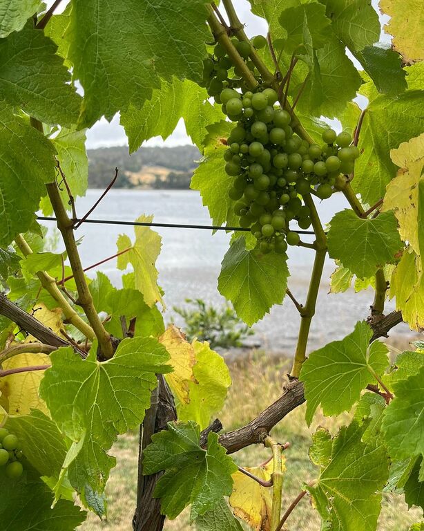 Tasmania