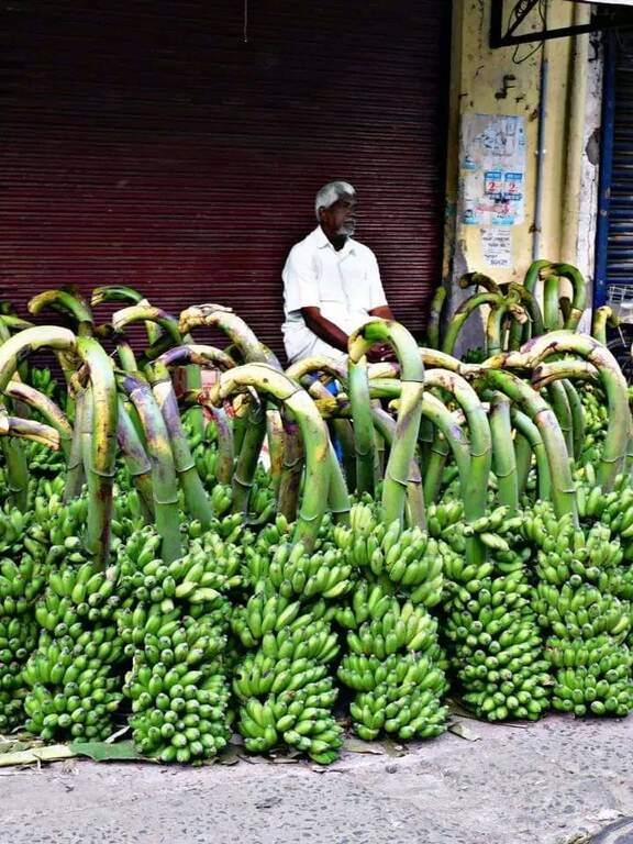 Bananas